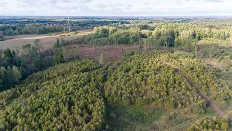 Aerial View of Forest and Fields with Communication Tower Stock Photos