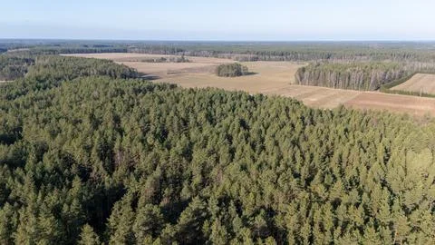 Aerial View of Forest and Fields Stock Photos