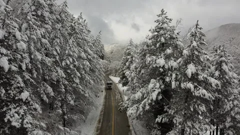 Aerial view of the forest and highway in winter. Stock Footage 334719992