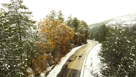 Aerial view of the forest and highway in winter. Stock Footage 334720265