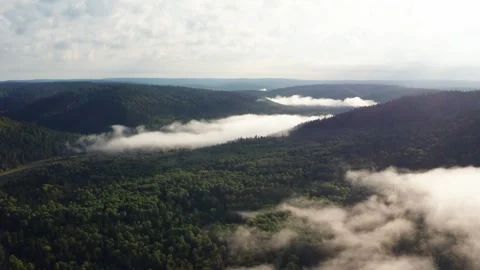 Aerial view of the forest and hills in the fog Stock Footage 252247494