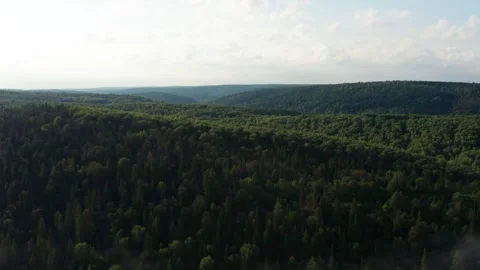 Aerial view of the forest and hills in the fog Stock Footage 252247979