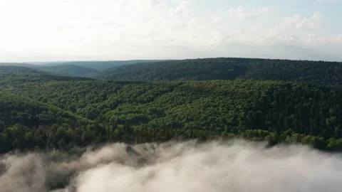 Aerial view of the forest and hills in the fog Stock Footage 252248091