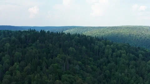 Aerial view of the forest and hills in the fog Stock Footage 252248171