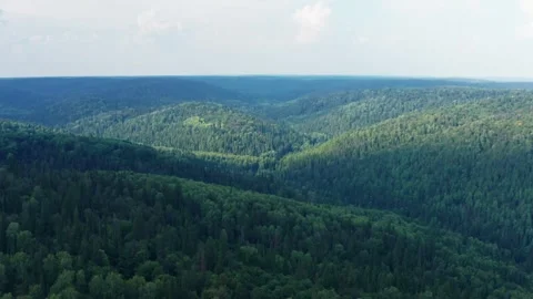 Aerial view of the forest and hills in the fog Stock Footage 252248261