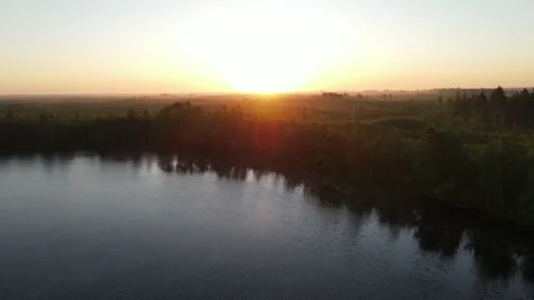 Aerial view of the forest and lake landscape Stock Footage 199980974