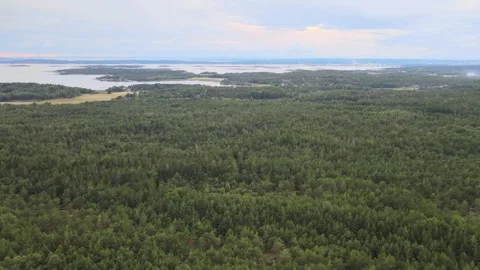 Aerial view of a forest and lakes in Norway Stock Footage 248554874