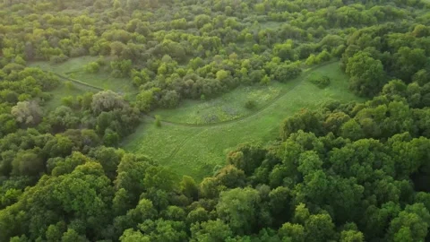 Aerial view of the forest and landscape Stock Footage 200003288