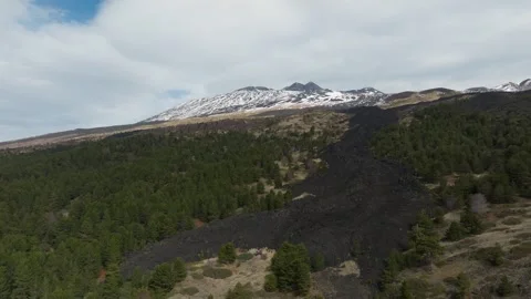 Aerial view of a forest and Mount Etna Stock Footage 308665454