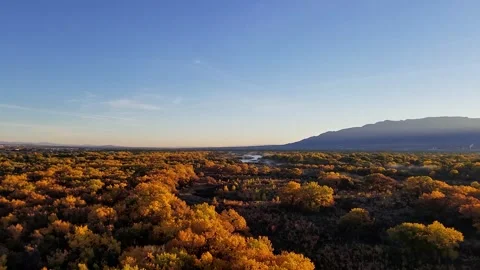 Aerial View of Forest and Mountain in Autumn, Slow Motion Stock Footage 146559996