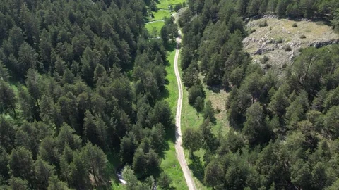 Aerial view of forest and mountain roads Stock Footage 294084701