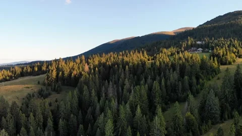 Aerial view of forest and mountains. Inspiring autumn season landscape Stock Footage 149747533