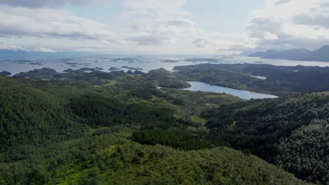 Aerial view of forest and ocean Stock Footage 160171789