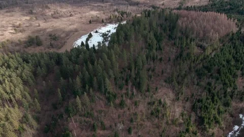 Aerial View of Forest and Patch of Snow Stock Footage 320274108