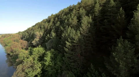 Aerial view of the forest and river Stock-Footage 59595522