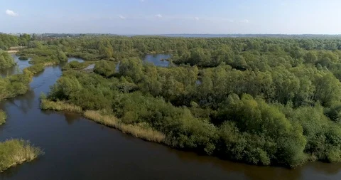 Aerial view of forest and river, Warta valley, overflow Jeziorsko, Poland 動画素材 109398465