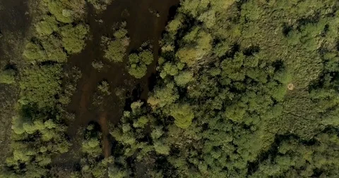 Aerial view of forest and river, Warta valley, overflow Jeziorsko, Poland 動画素材 109403200