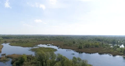 Aerial view of forest and river, Warta valley, overflow Jeziorsko, Poland 動画素材 109403418
