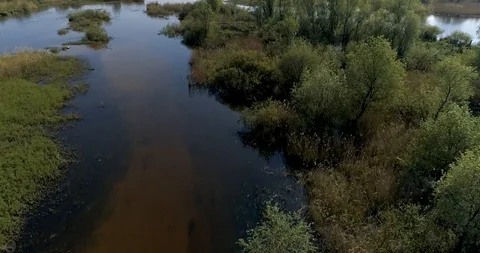Aerial view of forest and river, Warta valley, overflow Jeziorsko, Poland Stock Footage 110299948