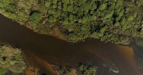 Aerial view of forest and river, Warta valley, overflow Jeziorsko, Poland Stock Footage 110308791