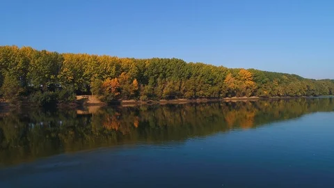 Aerial view of a forest and of a river. Stock Footage 113100454