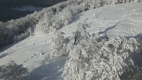Aerial view of the forest and river at winter. The trees are covered with snow Stock Footage 153800344