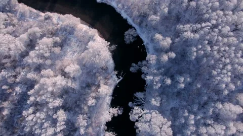 Aerial view of forest and river at winter. The trees are covered with snow Stock Footage 167887580