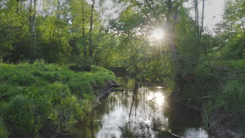 Aerial view of forest and river running along the forest landscape with sun rays Video stock 240478145