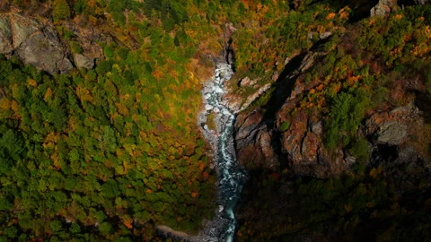 Aerial View Of Forest And River Flowing Along Rocks In Autumn Day, Slow Motion Video stock 254459825