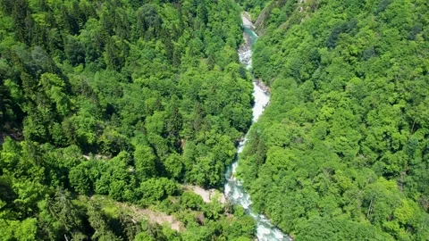 Aerial view of forest and river in Rize Camlihemsin Stock Footage 294078417