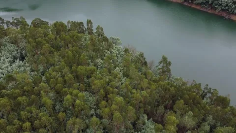 Aerial View of Forest and River in Harmony with Nature Stock Footage 312747313