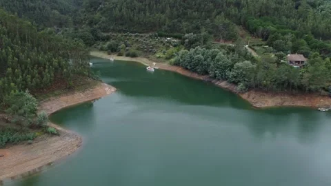 Aerial View of Forest and River in Harmony with Nature Stock Footage 312747401