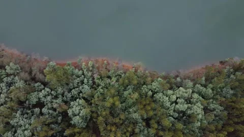 Aerial View of Forest and River in Harmony with Nature Stock Footage 312747429