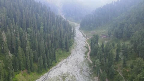 Aerial view of forest and river in serene valley, Pakistan. Stock Footage 312776140