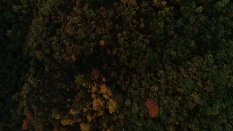 Aerial view of forest and a small mountain town Stock Footage 121726331