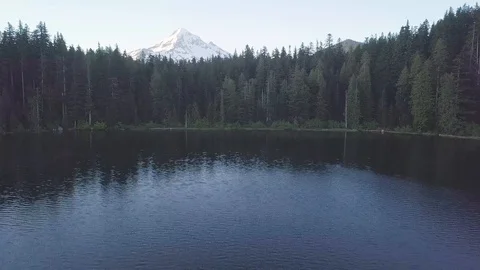 Aerial view, forest and volcano during sunny day. Mount Hood, Oregon, USA Stock Footage 128919968