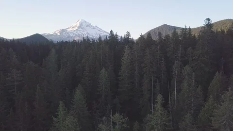 Aerial view, forest and volcano during sunny day. Mount Hood, Oregon, USA Stock Footage 128920608