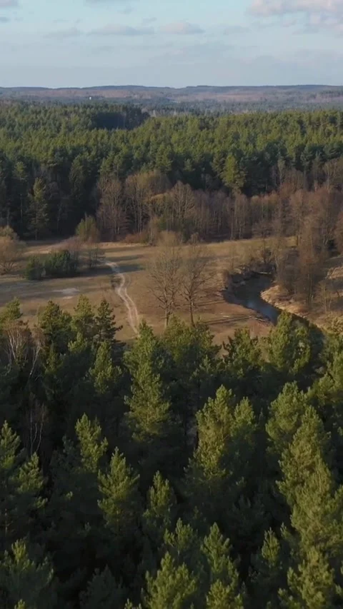 Aerial view of forest and winding river in countryside Stock Footage 334169050