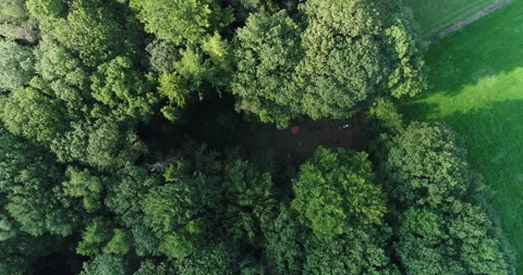 Aerial view of a forest in Ardennes, Belgium Stock Footage 167669853