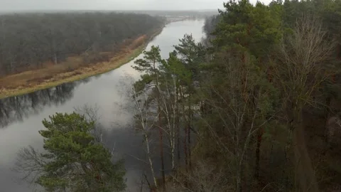 Aerial view of a forest area on the coast of a winding river with reflecting Stock Footage 135302282