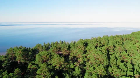 Aerial view forest area on the shore of the Gulf of Riga in Jurmala Lapmezciems Stock Footage 188512681