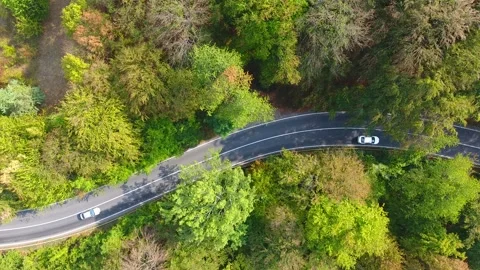 Aerial view of forest, autumn time, colorful landscape 库存影片 252028107