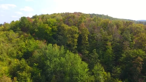 Aerial view of forest, autumn time, colorful landscape 库存影片 252028408