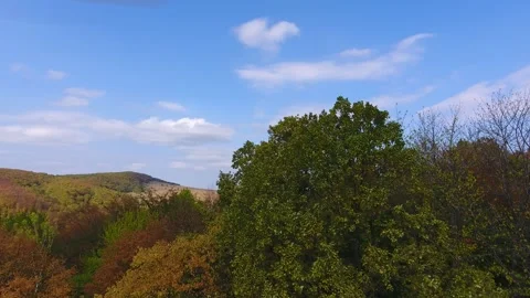 Aerial view of forest, autumn time, colorful landscape Vídeo Stock 252028415