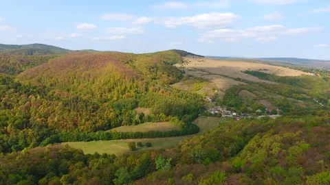 Aerial view of forest, autumn time, colorful landscape Video stock 252028583