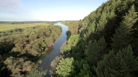 Aerial view of the forest from Balloon 스톡 동영상 59595677