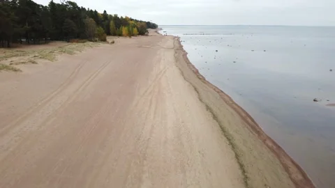 Aerial view of forest beach Stock Footage 162066104