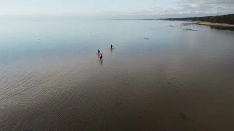 Aerial view of forest beach Stock Footage 162066115