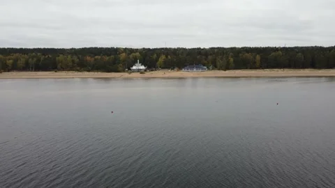 Aerial view of forest beach Stock Footage 162066126