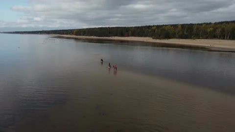 Aerial view of forest beach Stock Footage 162066193